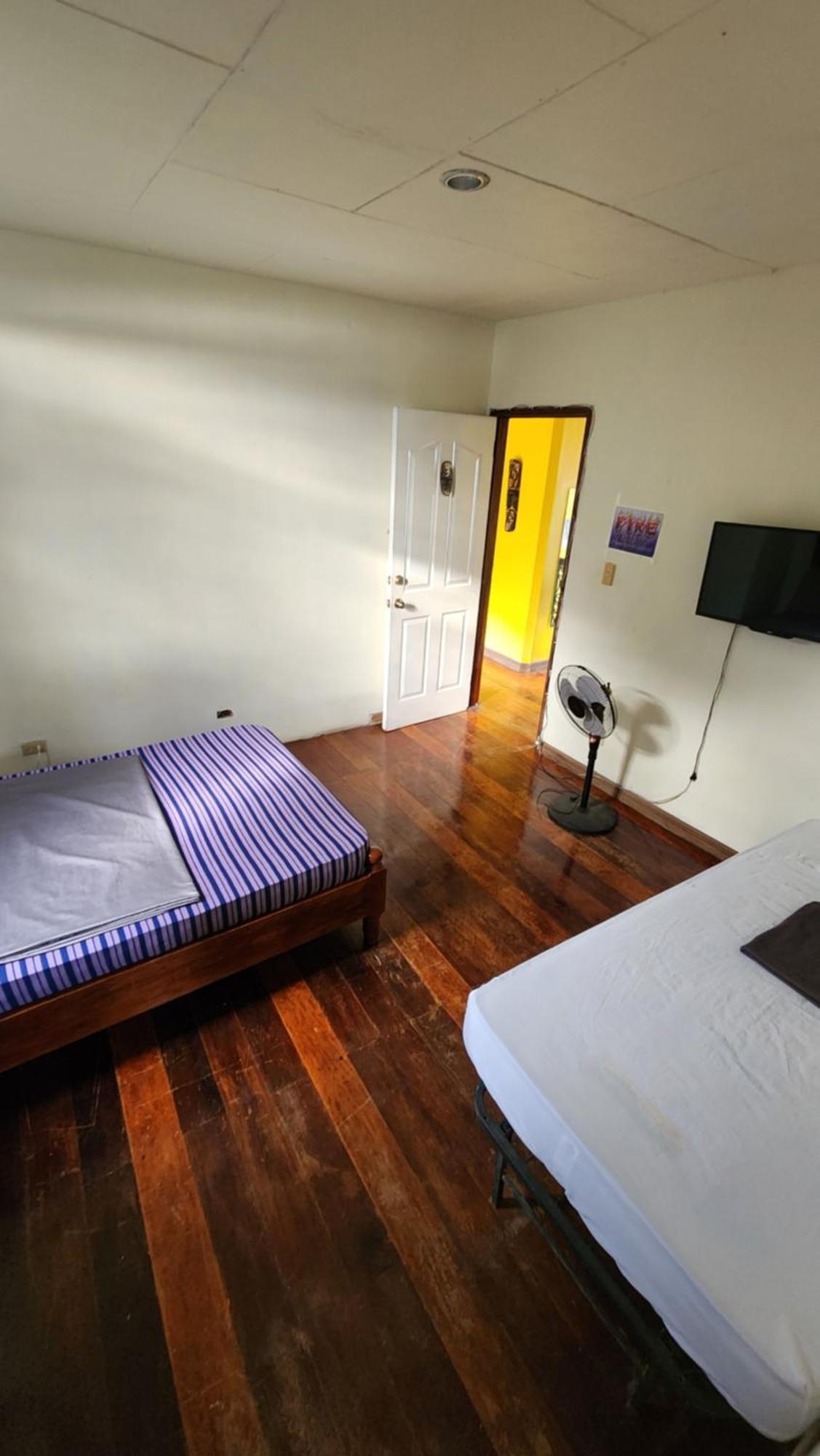 Screaming Gecko Hostel Busuanga Eksteriør billede