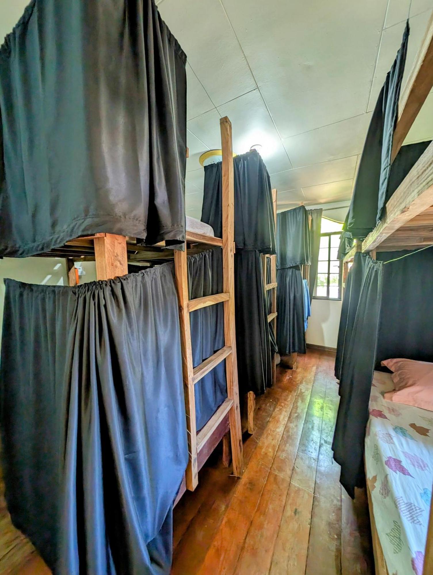 Screaming Gecko Hostel Busuanga Eksteriør billede